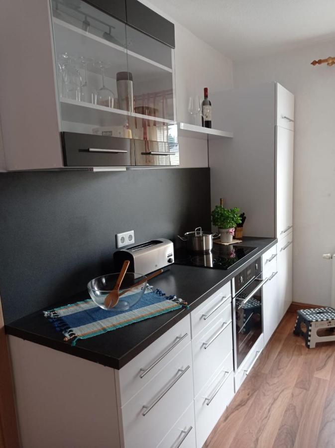 Ferienwohnung Greifenbach, Gartennutzung, Haustiere Willkommen Geyer Zewnętrze zdjęcie