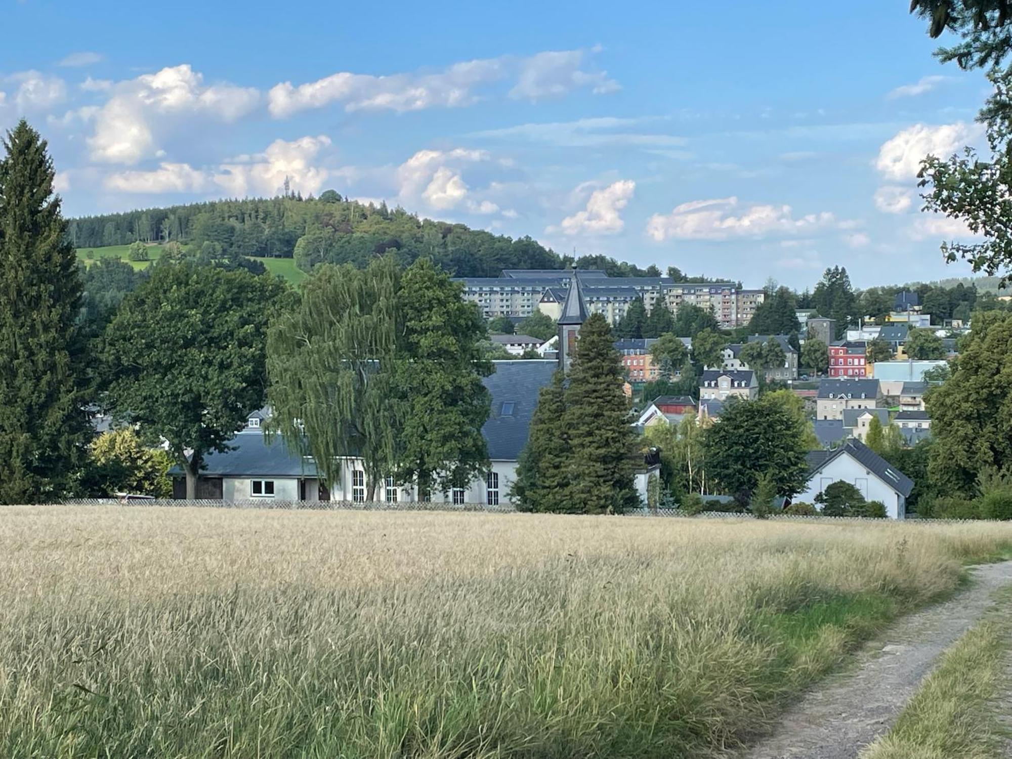 Ferienwohnung Greifenbach, Gartennutzung, Haustiere Willkommen Geyer Zewnętrze zdjęcie