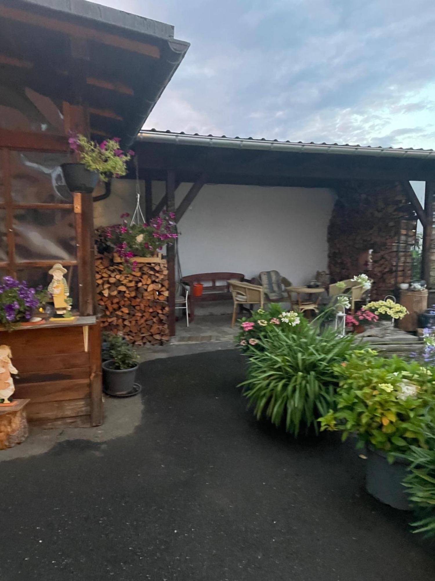 Ferienwohnung Greifenbach, Gartennutzung, Haustiere Willkommen Geyer Zewnętrze zdjęcie
