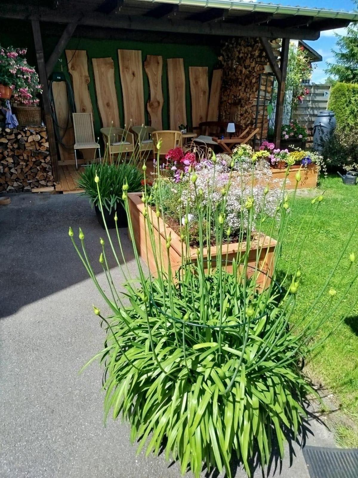 Ferienwohnung Greifenbach, Gartennutzung, Haustiere Willkommen Geyer Zewnętrze zdjęcie